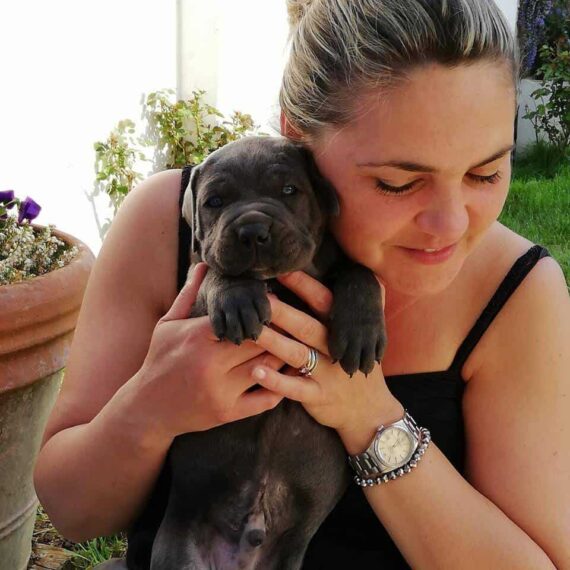 Crocchette Pressate a Freddo per Cani Puppy 10 kg – TOPDOG® - immagine 7