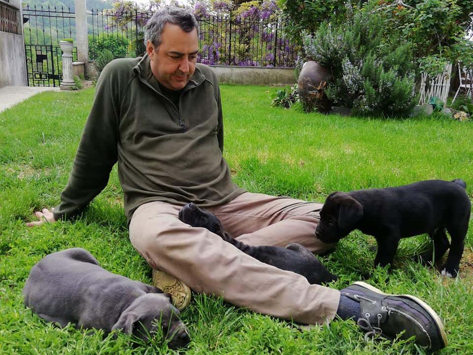 Migliori Crocchette per Cane Corso: Perché la scelta del cibo può salvargli la vita