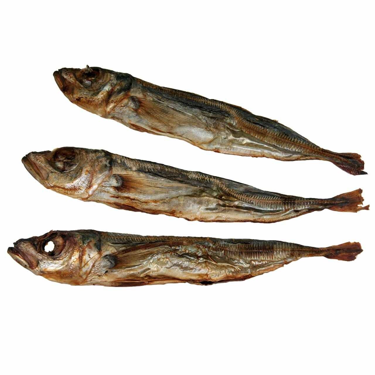 Masticativi Naturali per Cani: