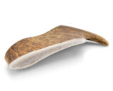 Corno di Alce per cani taglia XS