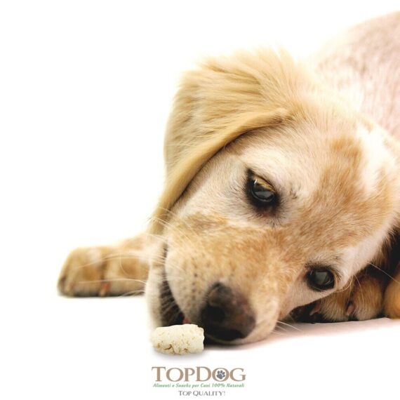 🥥 Cocco in Granuli BIO per Cani TOPDOG® 500g - immagine 2
