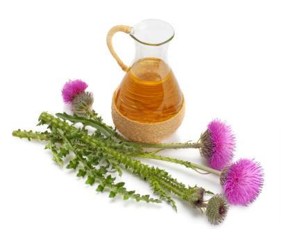 olio di cardo mariano per cani