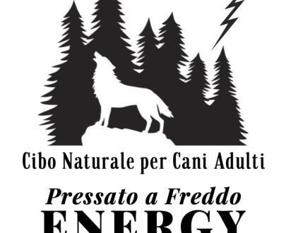 crocchette per cani alta energia