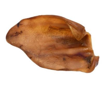 orecchio di maiale per cani