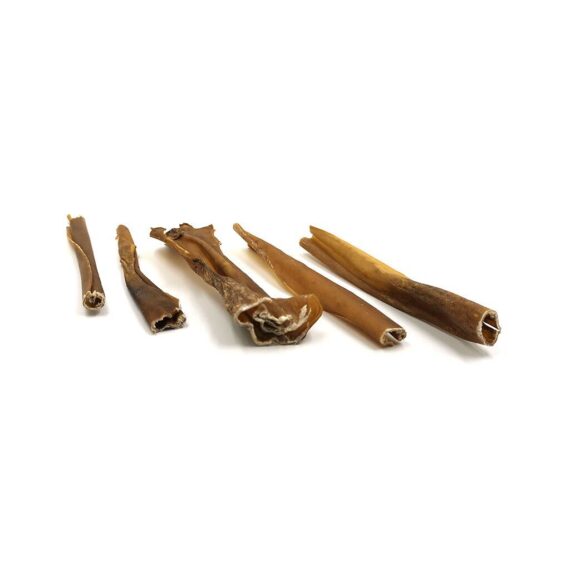 Pelle di cinghiale per cani - essiccata senza pelo 150gr - immagine 2