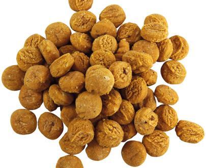 Premietto per Cani - Mosca del soldato nero e Mela 100gr