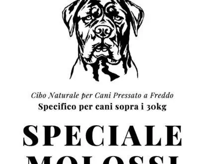 crocchette naturali per cani pressate a freddo per cani molossi
