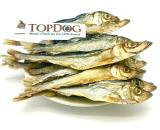 aringhe-cani-spratti