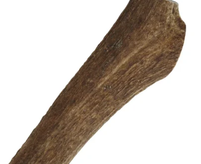 corna di cervo xl cani grande taglia