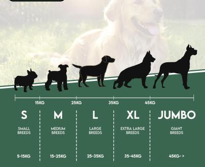 corna di cervo per cani