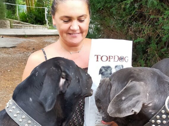Crocchette Pressate a Freddo per Cani Manzo Speciale Molossi 2 x 14 kg – TOPDOG - immagine 2