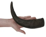corno di bufalo per cani vendita