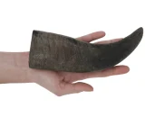 corno di bufalo per cani vendita