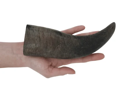 corno di bufalo per cani vendita