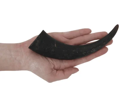 corno di bufalo per cani vendita