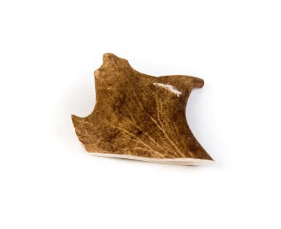 corna di daino per cani