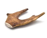 corna di daino per cani