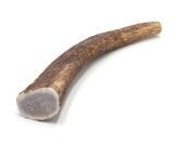 Corno di cervo per cane taglia piccola