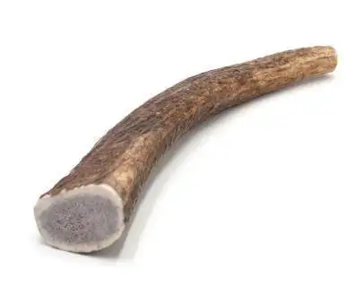 Corno di cervo per cane taglia piccola