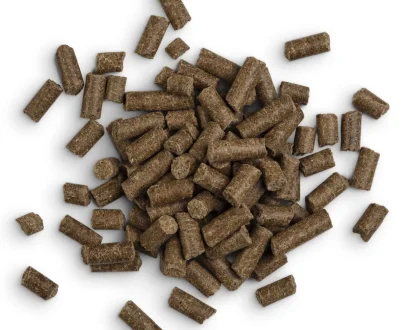 crocchette pressate a freddo top dog