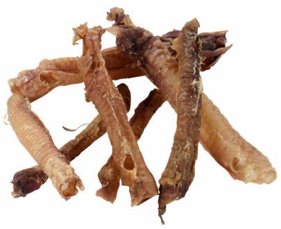 trachea-agnello-essiccata-per-cani