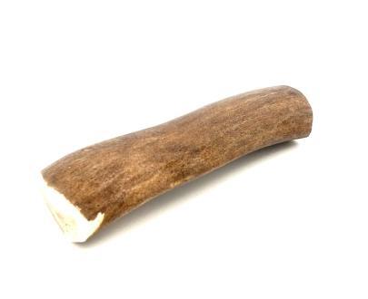 corna di renna per cani