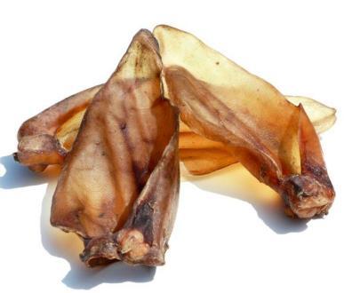 orecchie di bovino per cani