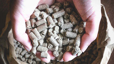 migliori crocchette naturali per cuccioli