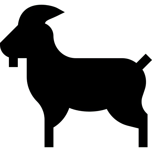 Masticativi Naturali per Cani: