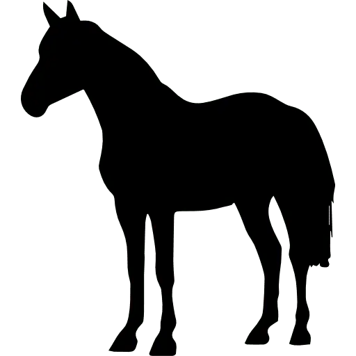 Masticativi Naturali per Cani: