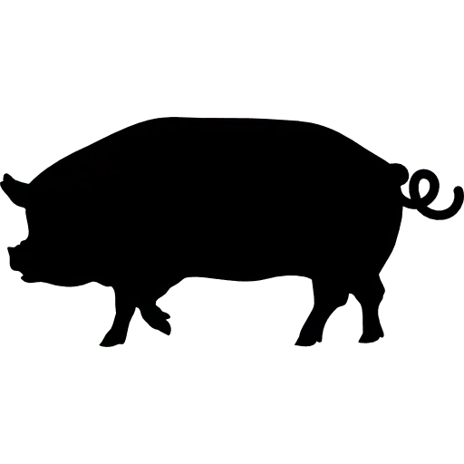 Masticativi Naturali per Cani: