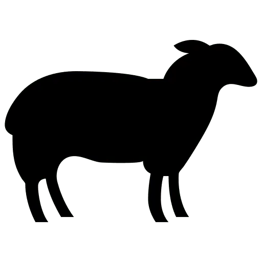 Masticativi Naturali per Cani: