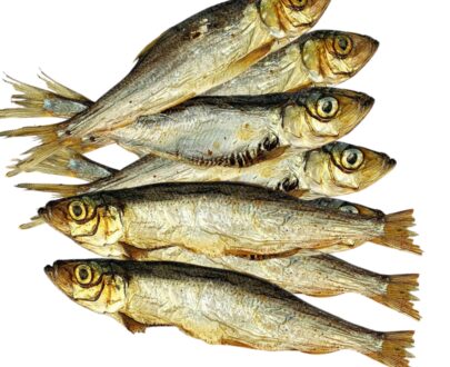 aringhe-essiccate-per-cani