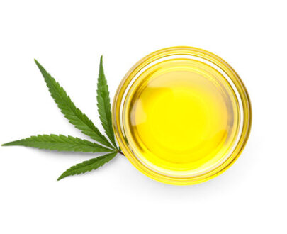 olio di canapa per cani