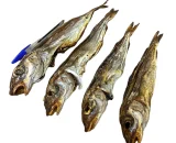 pesce essiccato per cani intero