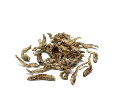 mini spratti per cani