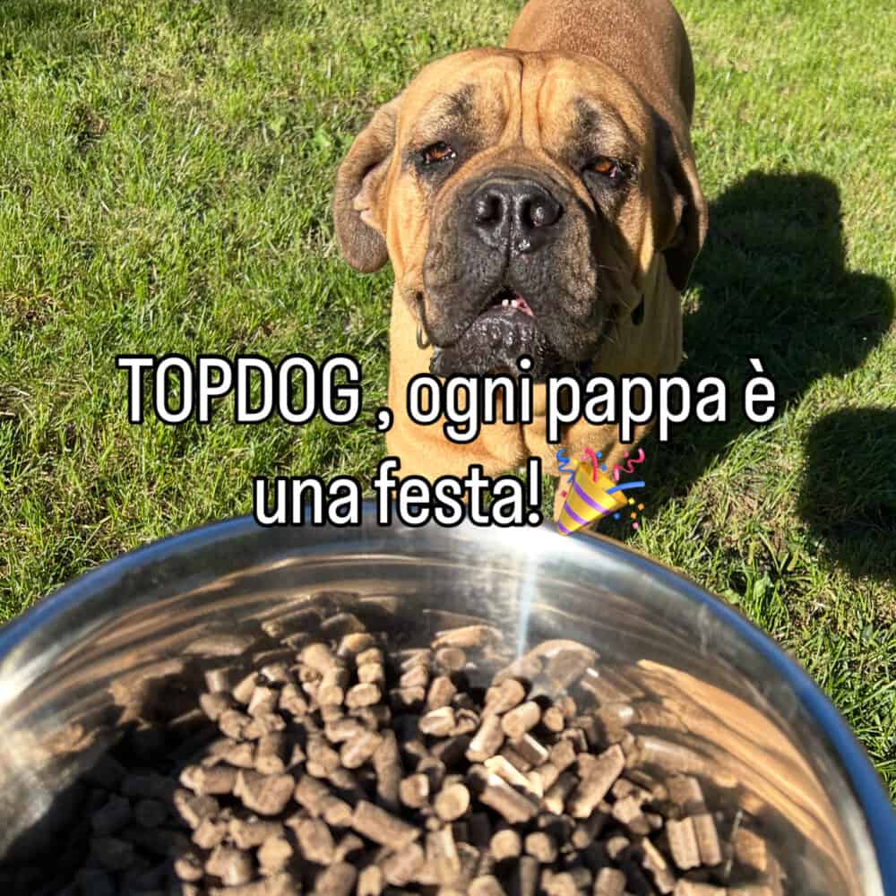 Crocchette Pressate a Freddo per Cani TOPDOG®: la Scelta Naturale per un Benessere Quotidiano