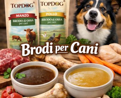 Brodo di Ossa per Cani e di Carne: Gusto e Salute Naturali