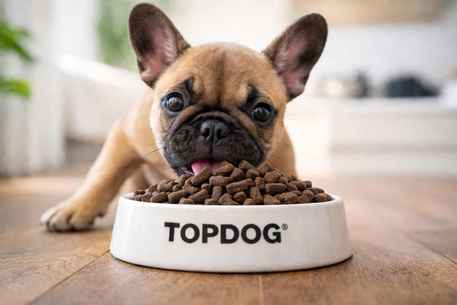Le migliori crocchette per Bulldog Francese cucciolo: guida completa all’alimentazione ideale