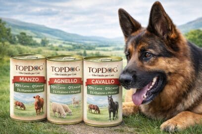 mischiare cibo umido alle crocchette per cani pressate a freddo