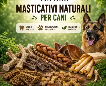 Masticativi Naturali per Cani