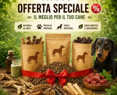 Offerta Speciale